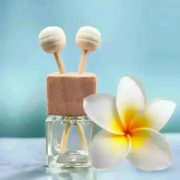 Island Girl Car Diffuser