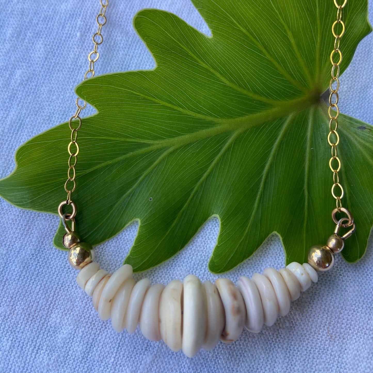 Graduated Puka Bar Necklace