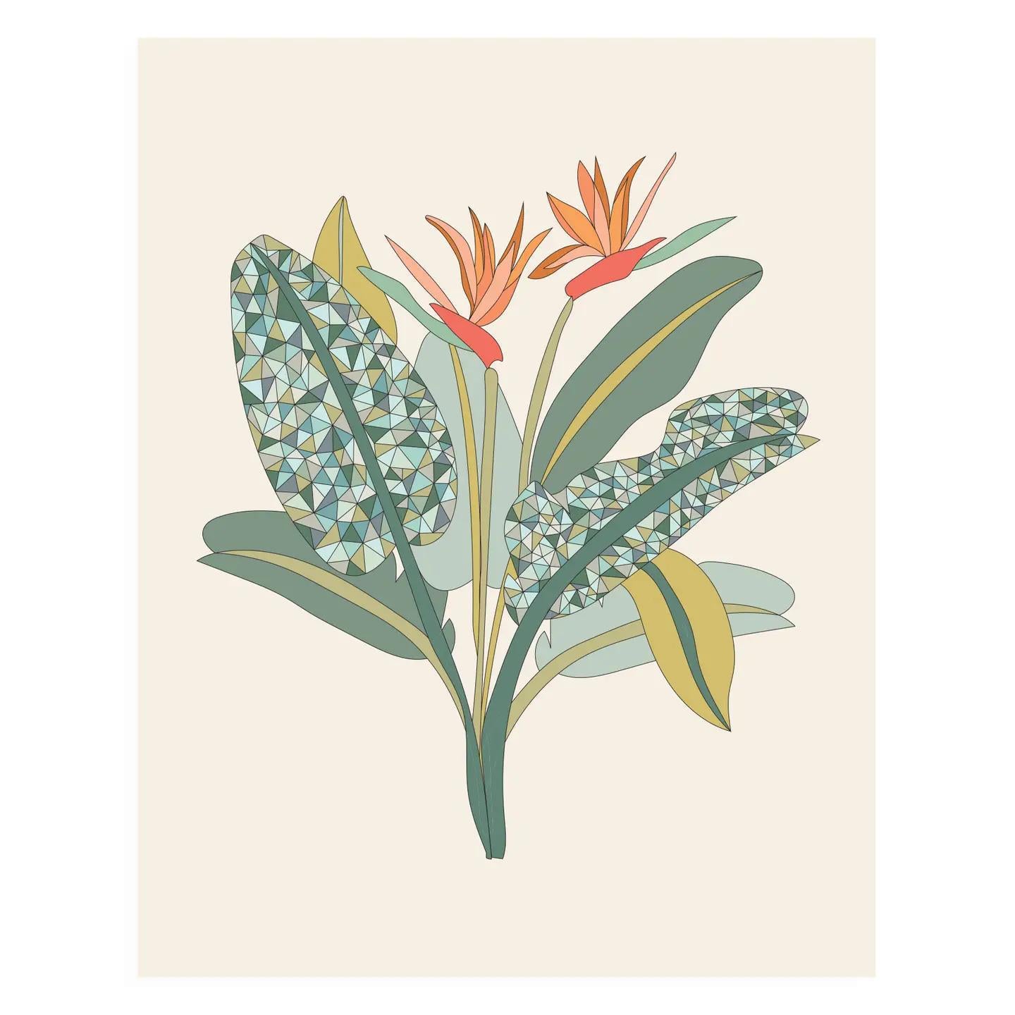 Birds Of Paradise 11x14 Art Print