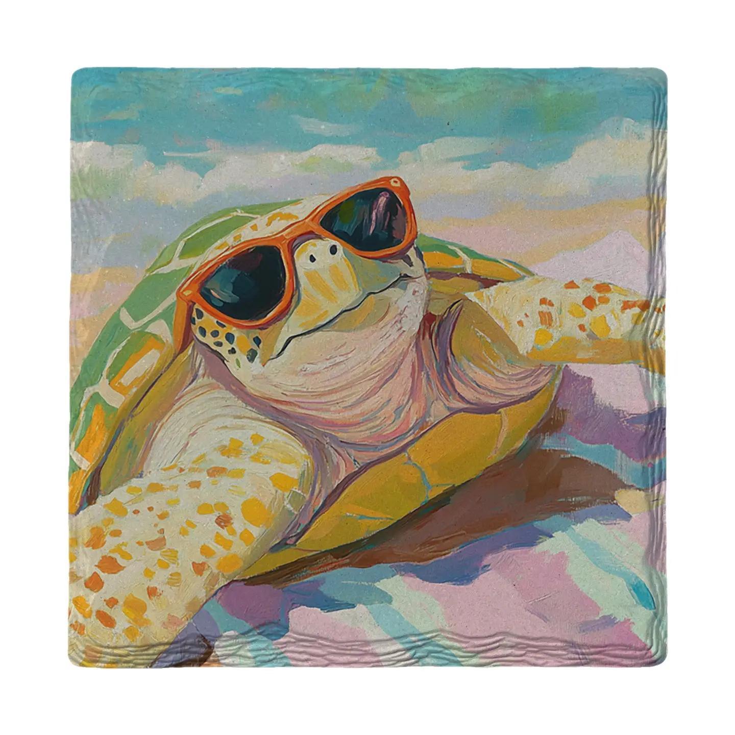 Hey Dude Sea Turtle Coaster