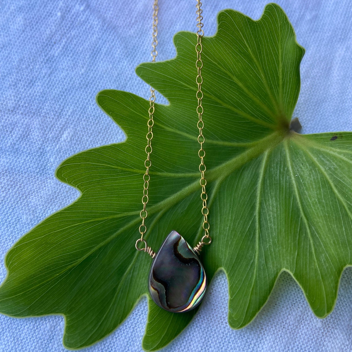 Abalone Necklace