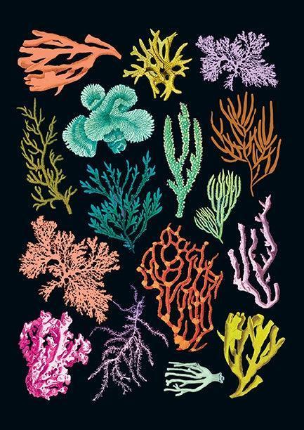 Under the Sea Sewn Notebooks (Set of 3)