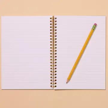 Sardines Spiral Notebook