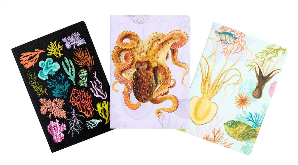 Under the Sea Sewn Notebooks (Set of 3)