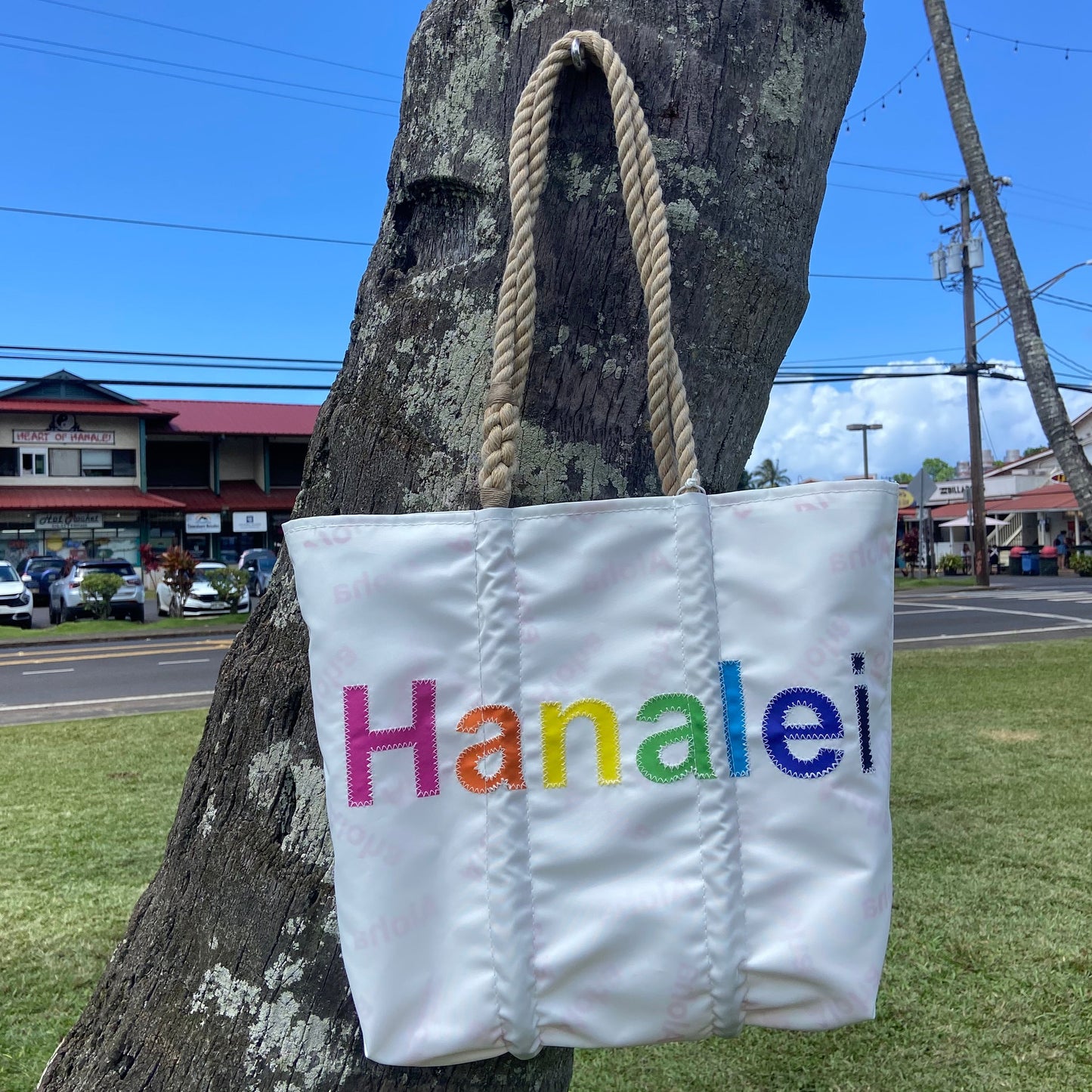 Hanalei Rainbow Medium Tote
