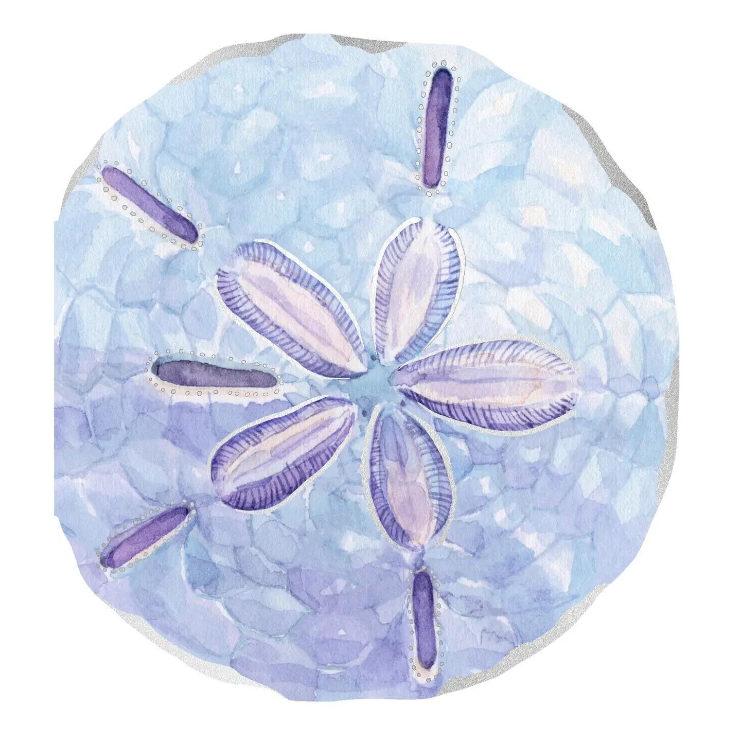 Shell Notecards