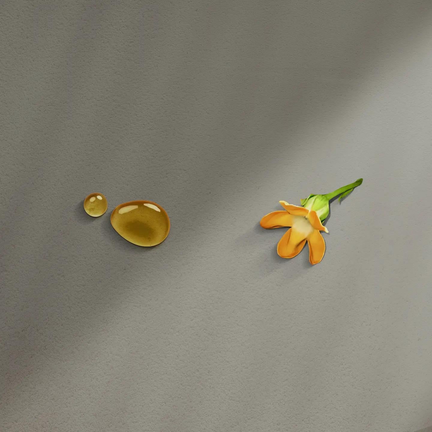 Pakalana Roller Perfume