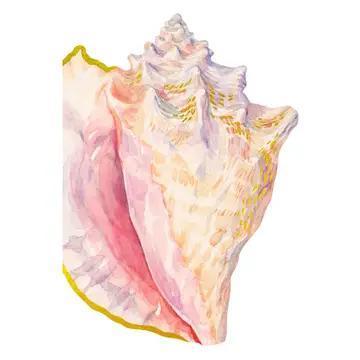 Shell Notecards
