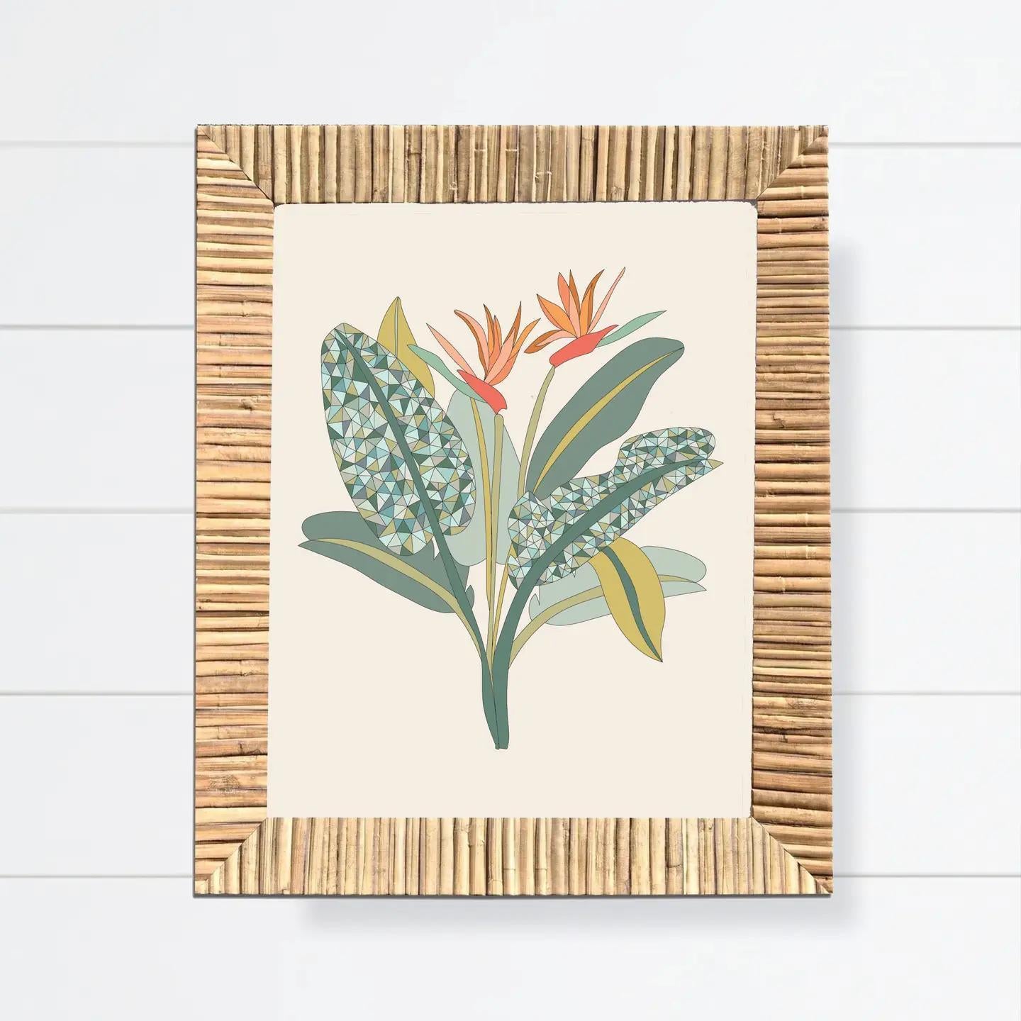 Birds Of Paradise 11x14 Art Print