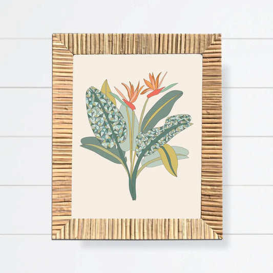 Birds Of Paradise 11x14 Art Print