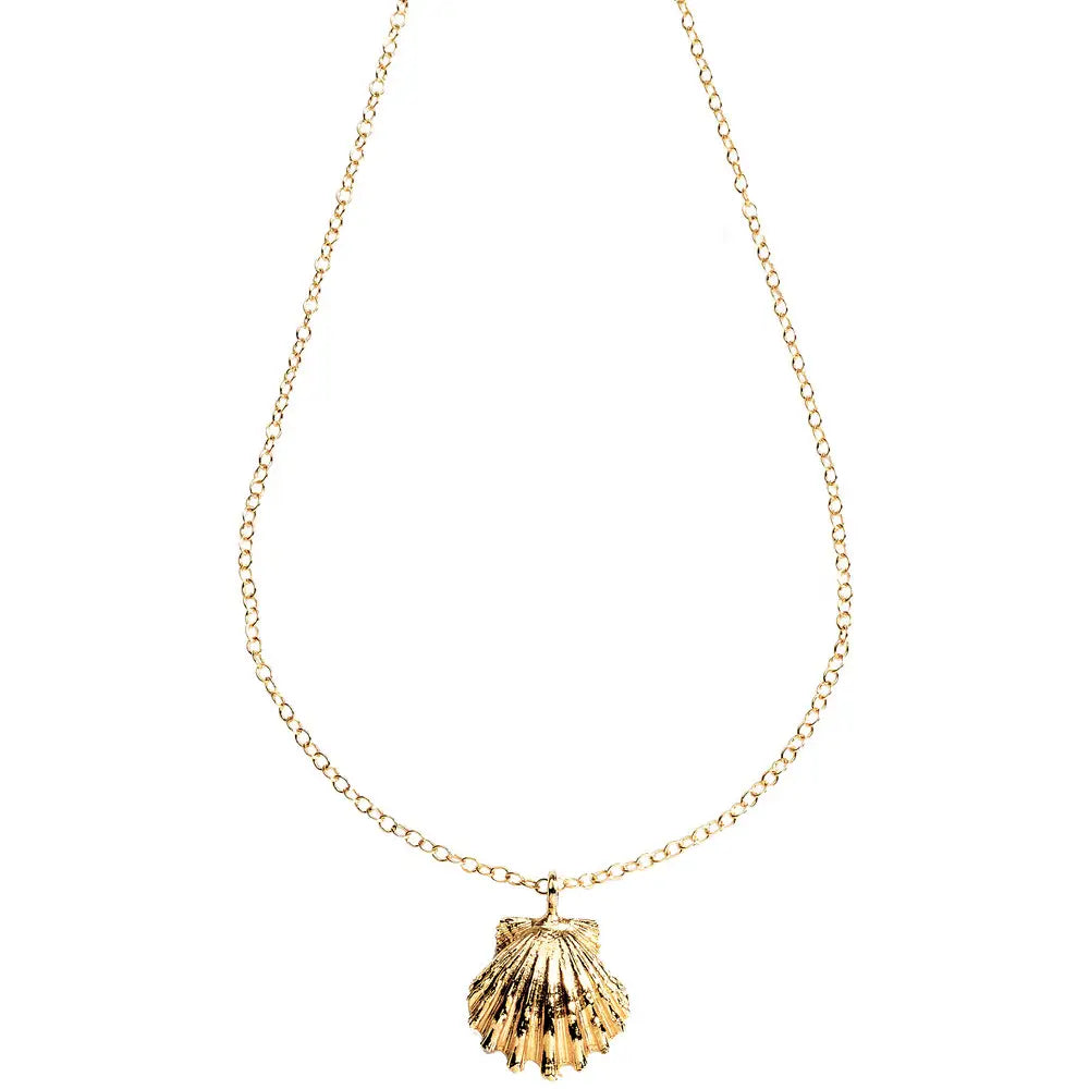 Sunrise Shell Cast Necklace