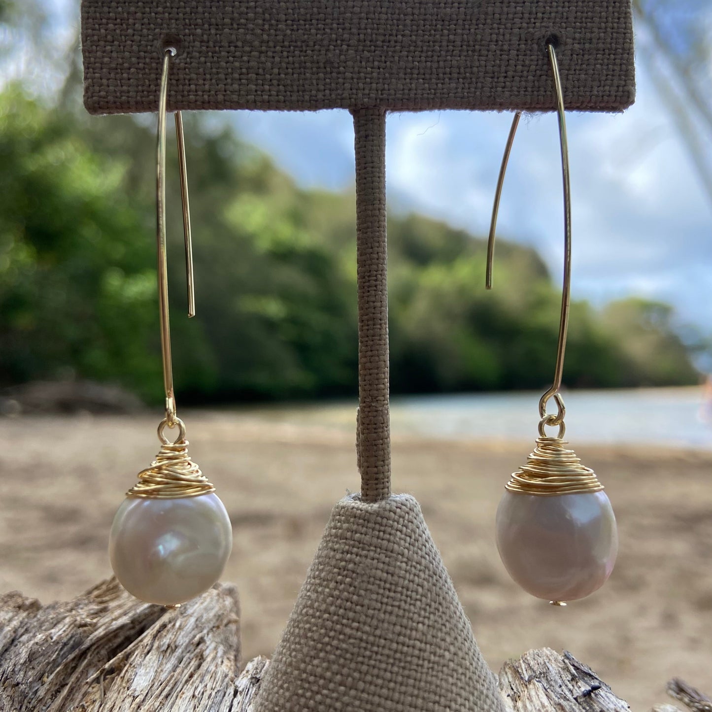 Coin Pearl Long Hook Earrings